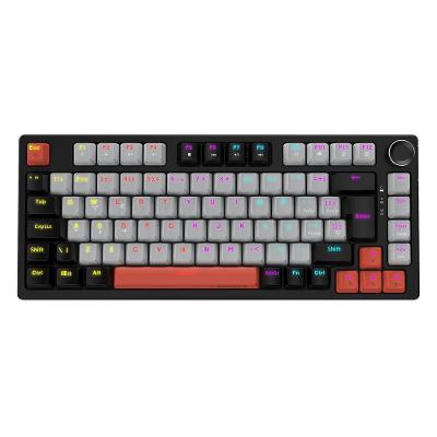 Teclado Mecanico 75% Pcyes Arkeum Black Vulcan Switch Red RGB Preto AKBV75RBR
