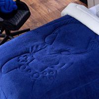 Coberdrom Azul Queen 3Pçs Dupla Face Sherpa E Mantinha - 7