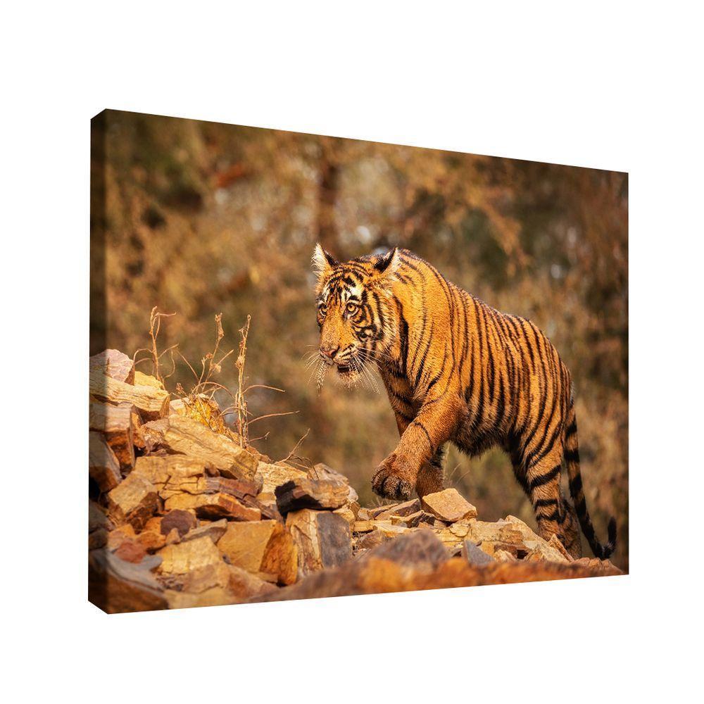Quadro Tigre Nas Montanhas -- Br Artes - 1