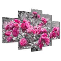 Kit 5 Placa Quadro Flores Vermelha Titulos Rosas Rosadas - 1