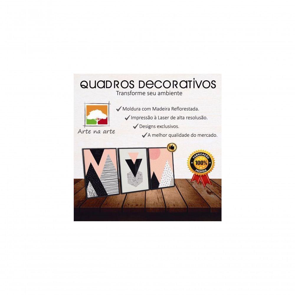 Conjunto Quadros Decorativos 3 pçs 20x30 Formas Geométricas - 5