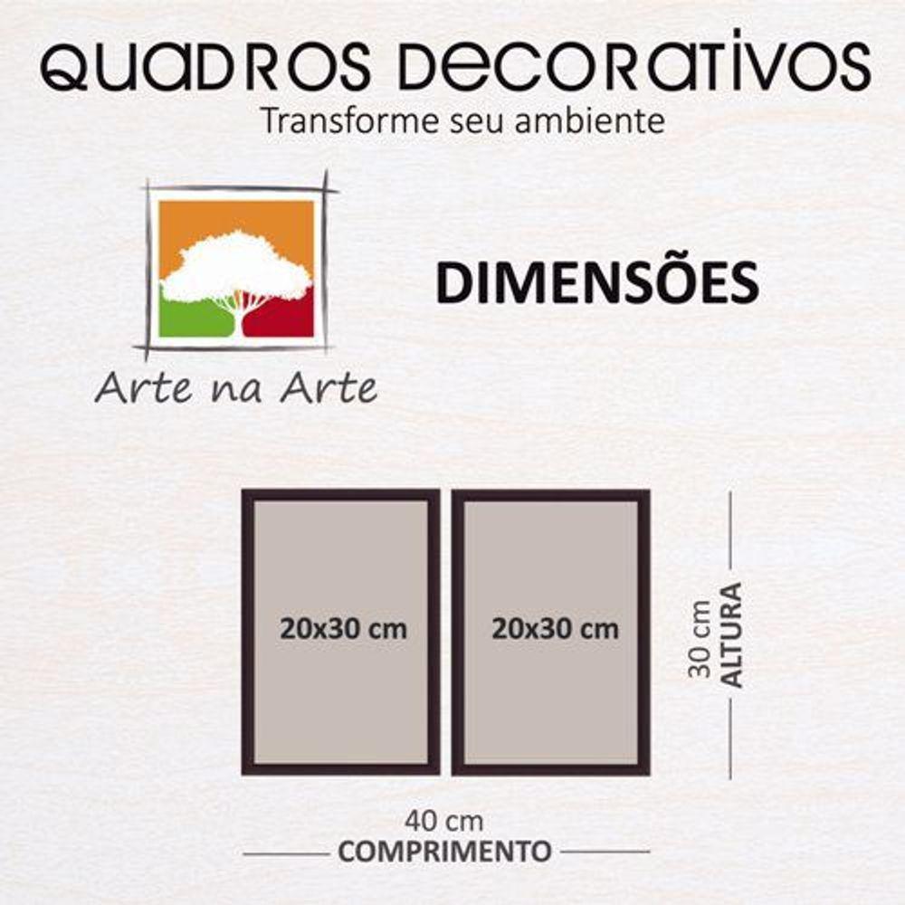 Conjunto Quadros Decorativos 2 peças MDF 20x30 Trem bala - 4