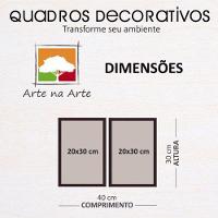 Conjunto Quadros Decorativos 2 peças MDF 20x30 Trem bala