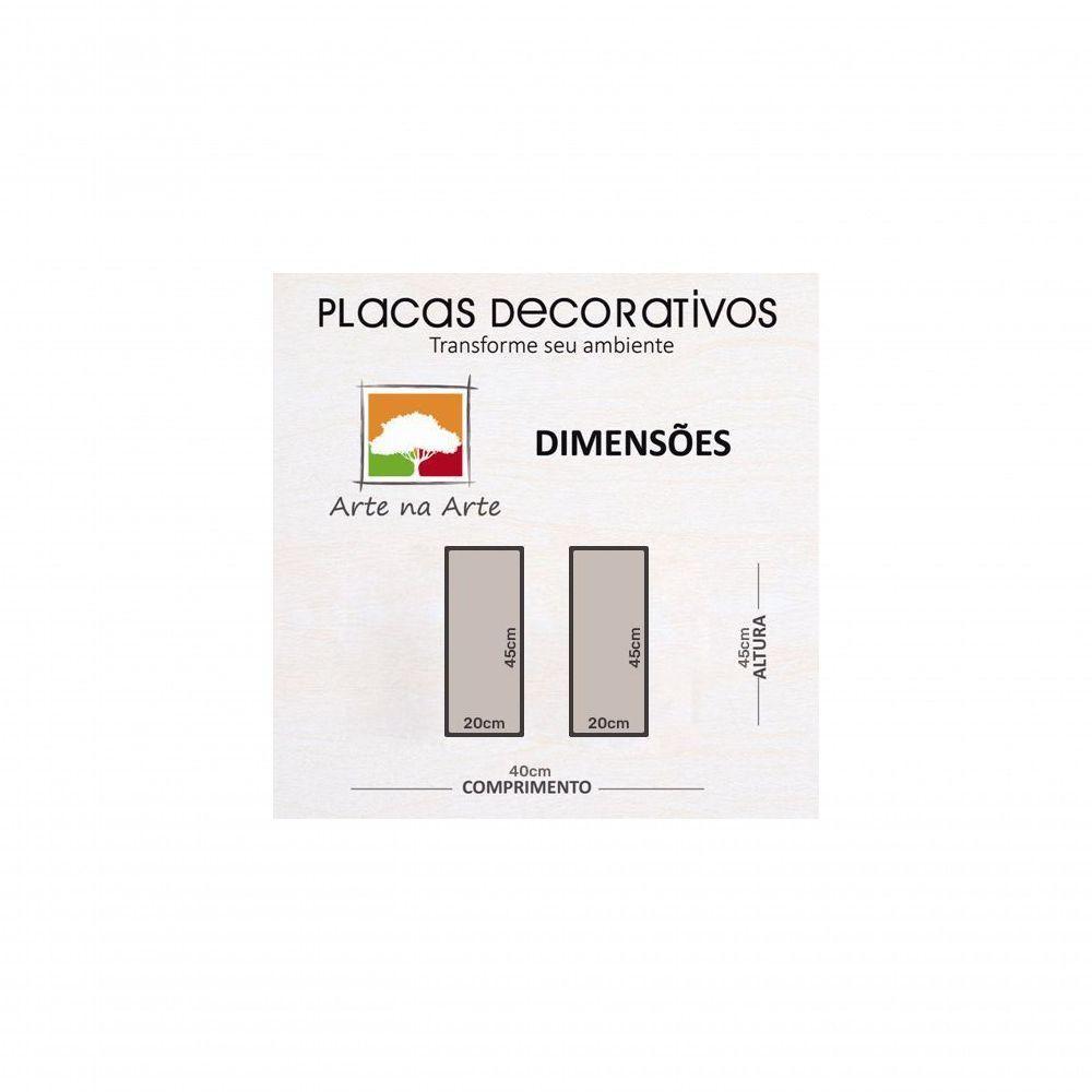 Conjunto Quadros Decorativos 2 pçs 20x45 Vasos e Azulejos - 7
