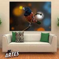 Quadro Curió Br Artes Grande 118x78 - 2