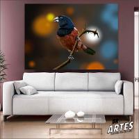 Quadro Curió Br Artes Pequeno 60x40 - 5