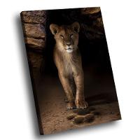 Quadro Rastro Br Artes Médio 84x54 - 1