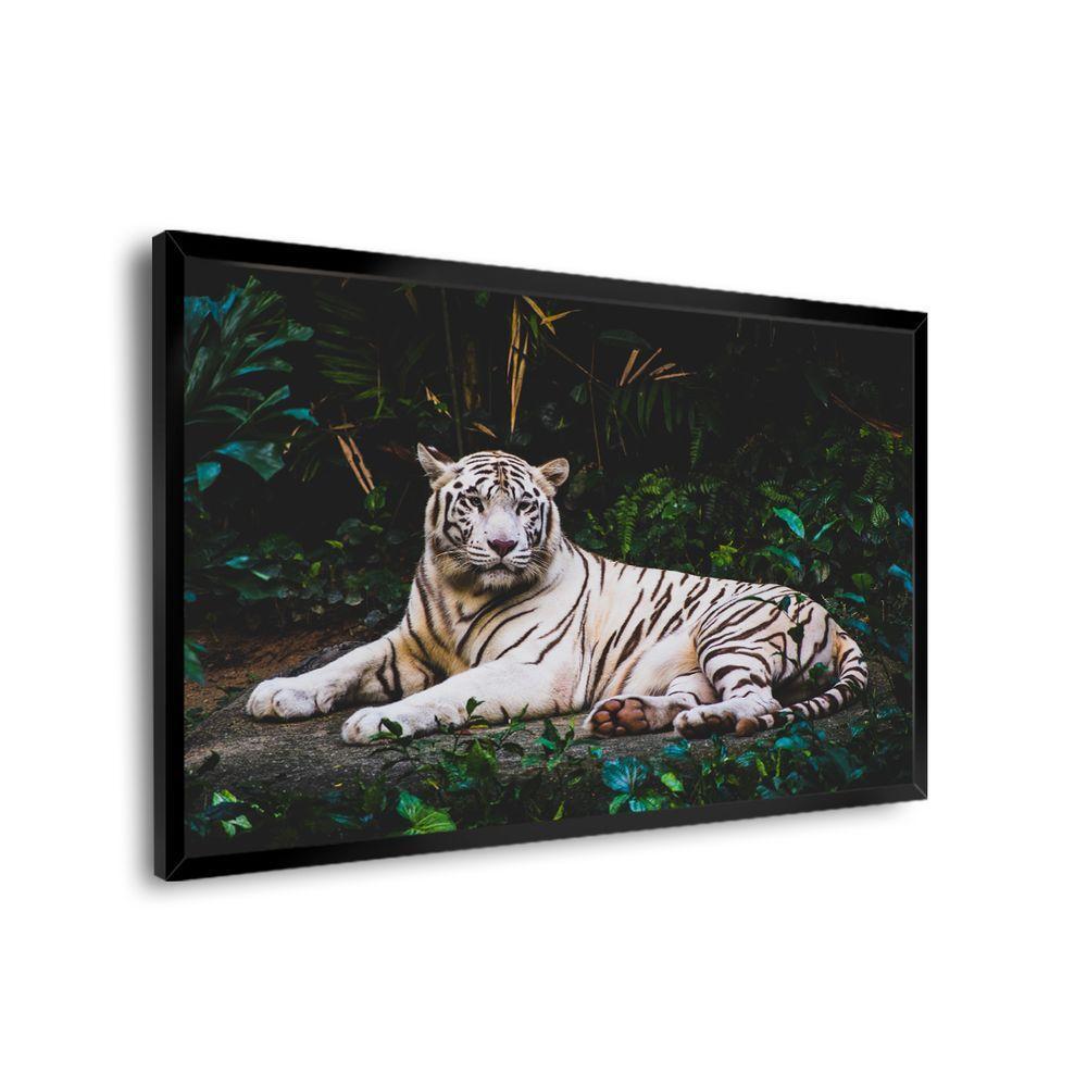 Quadro Tigre Branco Br Artes Médio 84x54 - 1