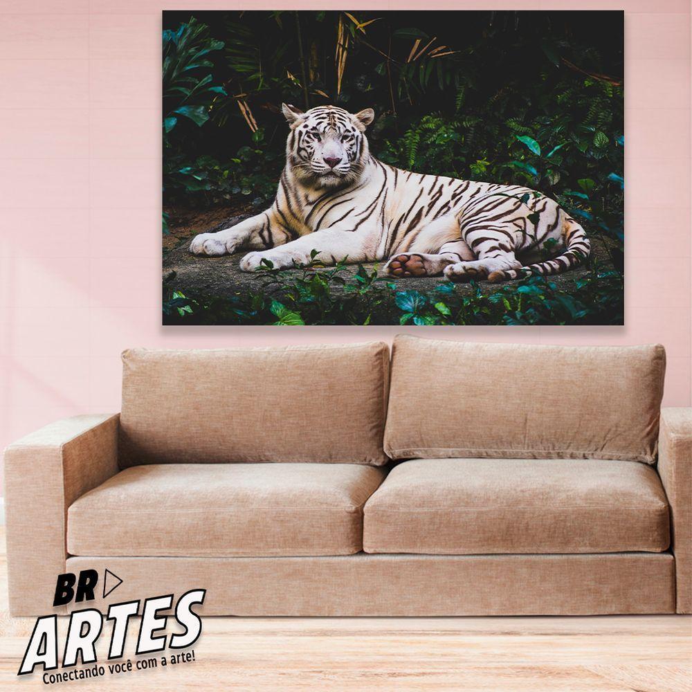 Quadro Tigre Branco Br Artes Médio 84x54 - 2