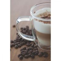 Conjunto de Xícaras para Café e Chá Vidro Duplo 2 Peças