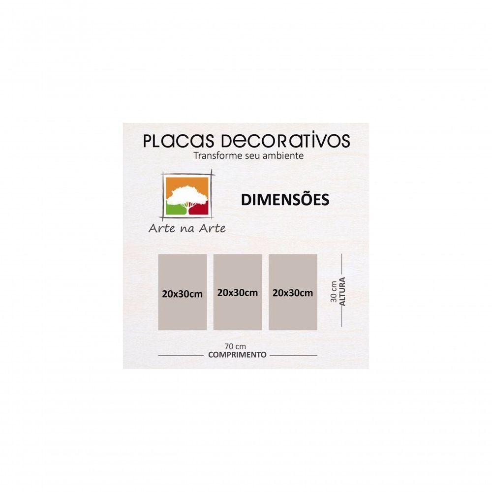Kit Placas Quadros Decorativos 3 Pçs Mdf 20x30 Leão Cores - 3