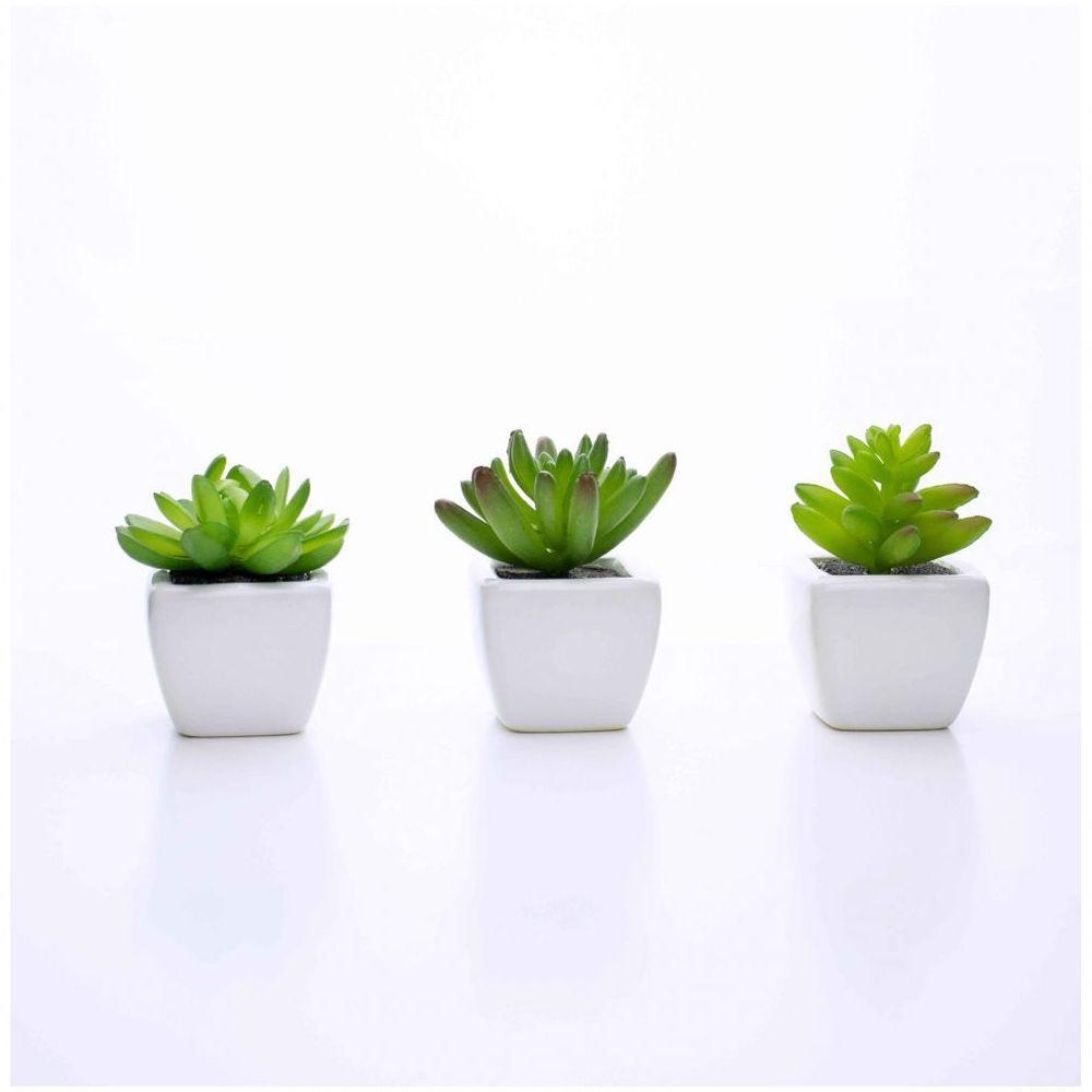 Kit 06 Suculentas Artificial Sortida Vaso Branco 6x6 Cm - 4
