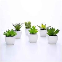 Kit 06 Suculentas Artificial Sortida Vaso Branco 6x6 Cm - 1