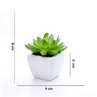 Kit 06 Suculentas Artificial Sortida Vaso Branco 6x6 Cm - 3