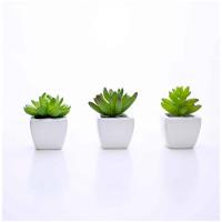 Kit 06 Suculentas Artificial Sortida Vaso Branco 6x6 Cm