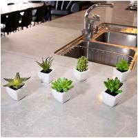 Kit 06 Suculentas Artificial Sortida Vaso Branco 6x6 Cm - 6