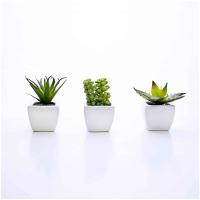 Kit 06 Suculentas Artificial Sortida Vaso Branco 6x6 Cm - 7