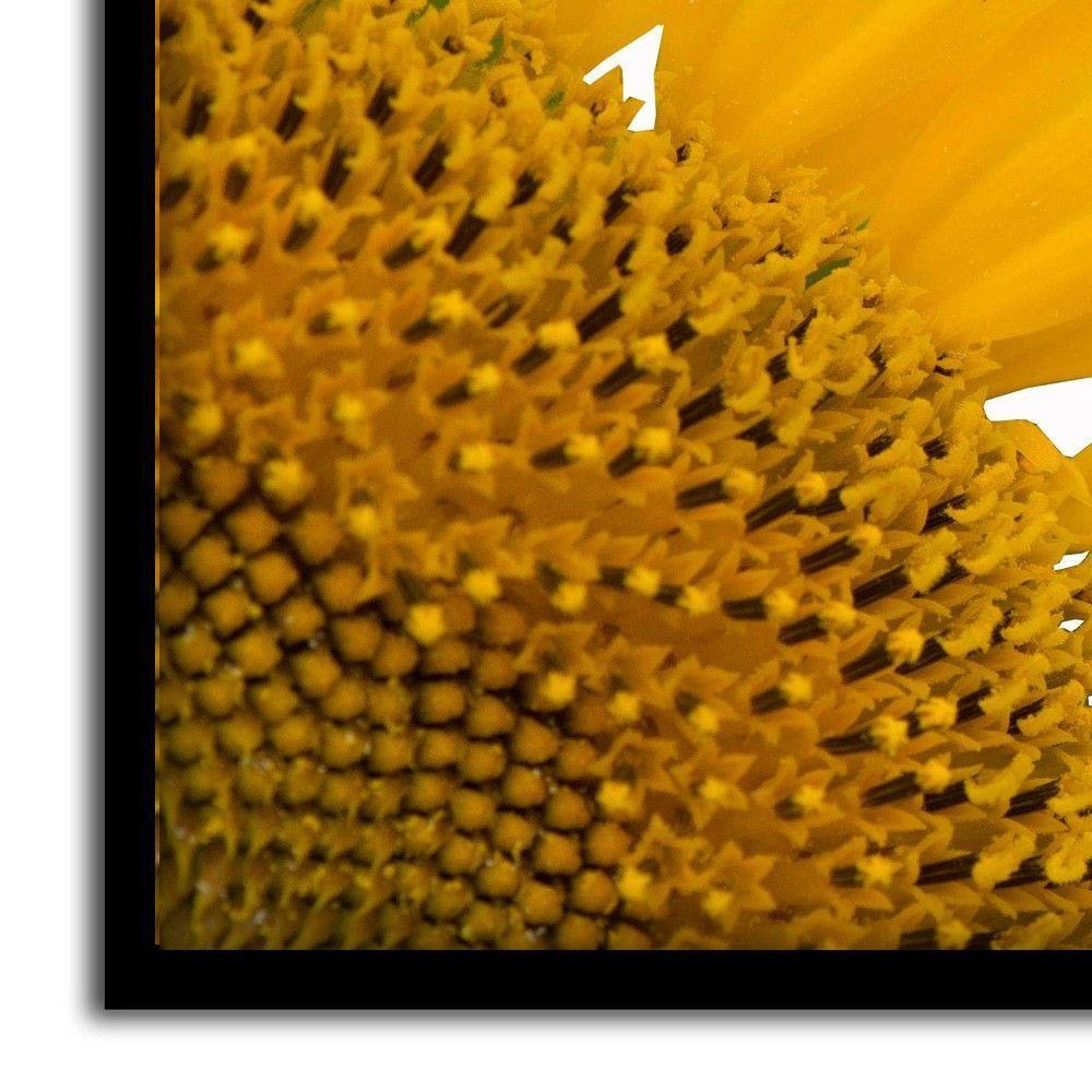 Kit 03 Quadross "Motivação" 43X33X1Cm - 3