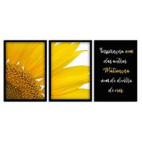 Kit 03 Quadross "Motivação" 43X33X1Cm - 1