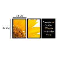 Kit 03 Quadross "Motivação" 43X33X1Cm - 2