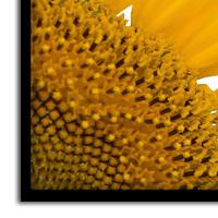 Kit 03 Quadross "Motivação" 43X33X1Cm - 3