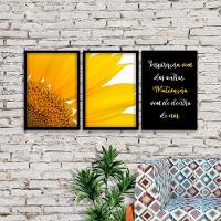 Kit 03 Quadross "Motivação" 43X33X1Cm