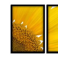 Kit 03 Quadross "Motivação" 43X33X1Cm - 5