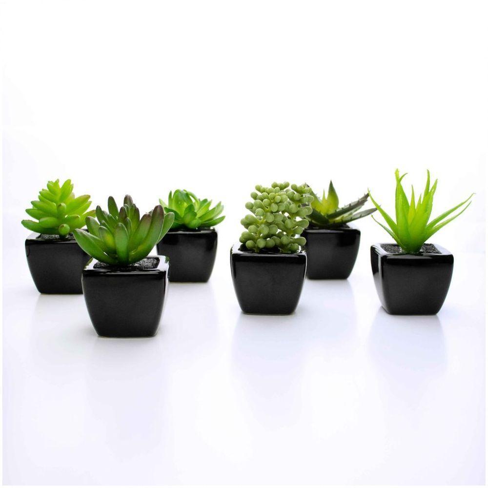 Kit 06 Suculentas Artificial Sortida Vaso Preto Unidades 6x6 Cm - 1