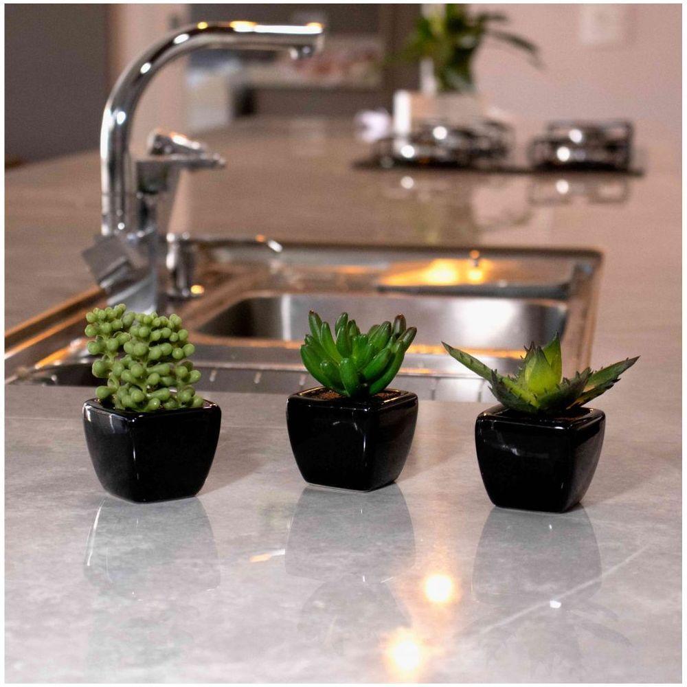 Kit 06 Suculentas Artificial Sortida Vaso Preto Unidades 6x6 Cm - 3