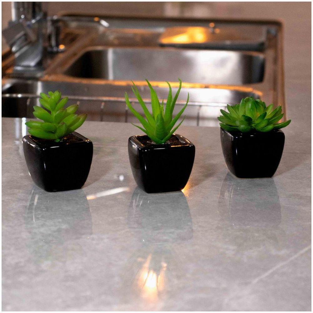 Kit 06 Suculentas Artificial Sortida Vaso Preto Unidades 6x6 Cm - 8