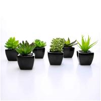Kit 06 Suculentas Artificial Sortida Vaso Preto Unidades 6x6 Cm - 1