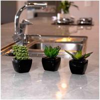 Kit 06 Suculentas Artificial Sortida Vaso Preto Unidades 6x6 Cm - 3
