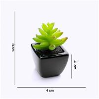 Kit 06 Suculentas Artificial Sortida Vaso Preto Unidades 6x6 Cm