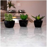Kit 06 Suculentas Artificial Sortida Vaso Preto Unidades 6x6 Cm - 6