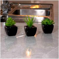 Kit 06 Suculentas Artificial Sortida Vaso Preto Unidades 6x6 Cm - 8