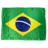 Bandeira Do Brasil Oficial Em Cetim Pequeno 55Cm X 35Cm - 3