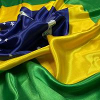 Bandeira Do Brasil Oficial Em Cetim Pequeno 55Cm X 35Cm