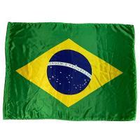 Bandeira Do Brasil Oficial Em Cetim Médio 80Cm X 55Cm - 2