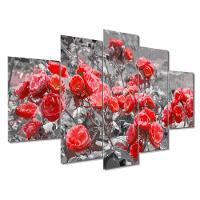 Kit 5 Placa Quadro Flores Vermelha Titulos Rosas Vermelhas - 1