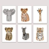 Quadro Infantil Safari 6 Un A4 Vidro E Pendurador - 1