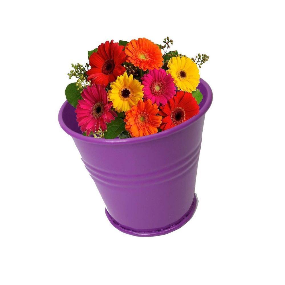 Balde Cachepot De Metal Para Mesa Mini Roxo Kit Com 12 - 6