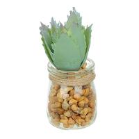 Vaso Com Suculenta Folha Alta Verde Claro 10X7 Cm - Du0027Rossi - 1