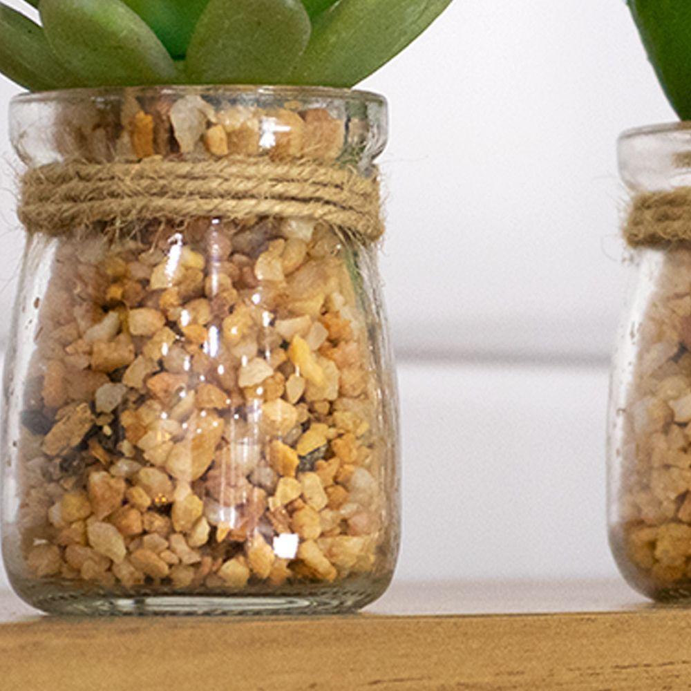 Vaso Com Suculenta Folha Média Verde Escuro 10X7 Cm - Du0027Rossi - 3