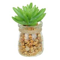 Vaso Com Suculenta Folha Média Verde Escuro 10X7 Cm - Du0027Rossi - 1