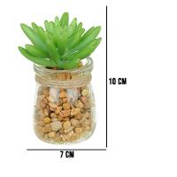 Vaso Com Suculenta Folha Média Verde Escuro 10X7 Cm - Du0027Rossi - 2