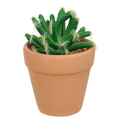 Vaso Com Cacto Castelo De Fada Verde 14X6 Cm - Du0027Rossi