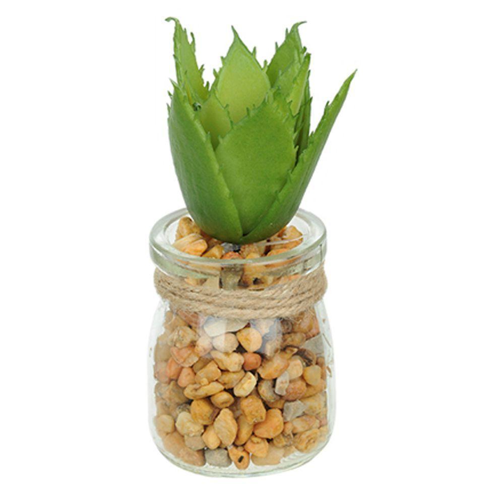 Vaso Com Suculenta Folha Alta Verde Escuro 10X7 Cm - Du0027Rossi - 1