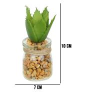 Vaso Com Suculenta Folha Alta Verde Escuro 10X7 Cm - Du0027Rossi - 2