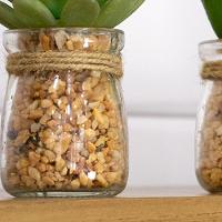 Vaso Com Suculenta Folha Alta Verde Escuro 10X7 Cm - Du0027Rossi - 3