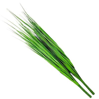 Kit 4 Folhagens Capim Verde Artificial 78cm